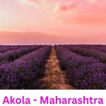 Explore Akola - History, Culture, and Cotton