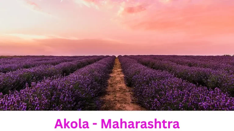 Explore Akola - History, Culture, and Cotton