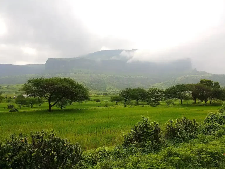 Anjaneri Hill Nashik