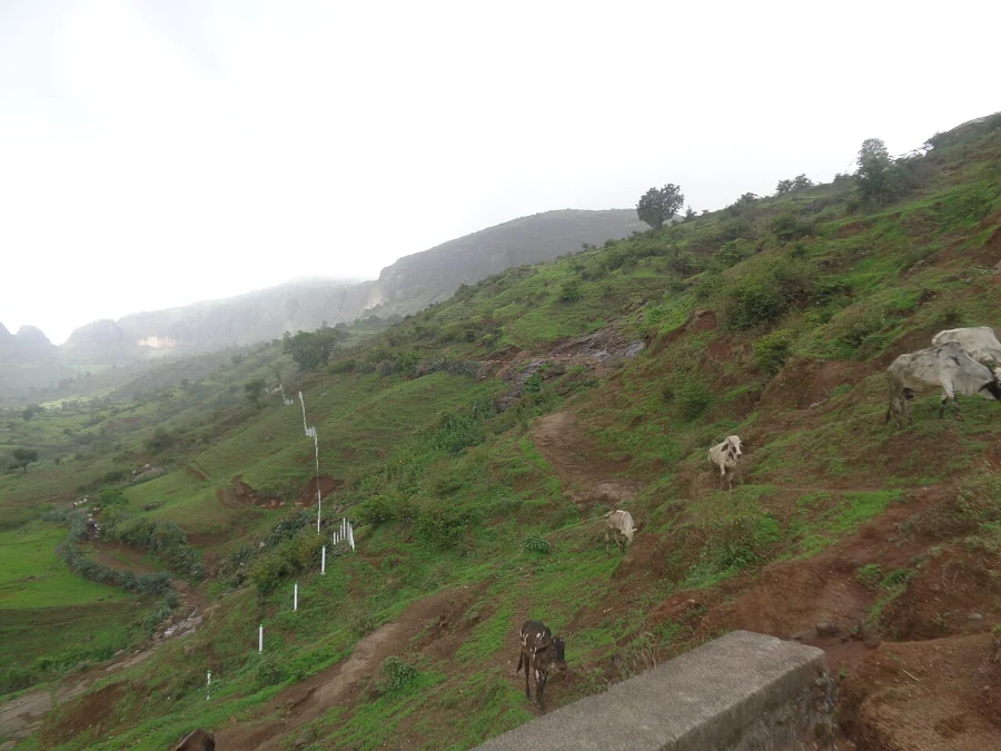 Anjaneri Nashik