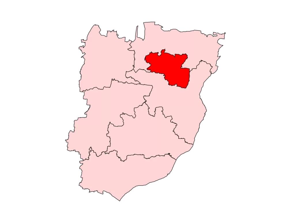 Arrah constituency