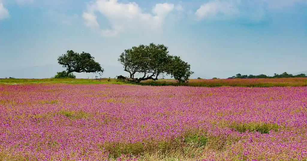 Satara District Tourism