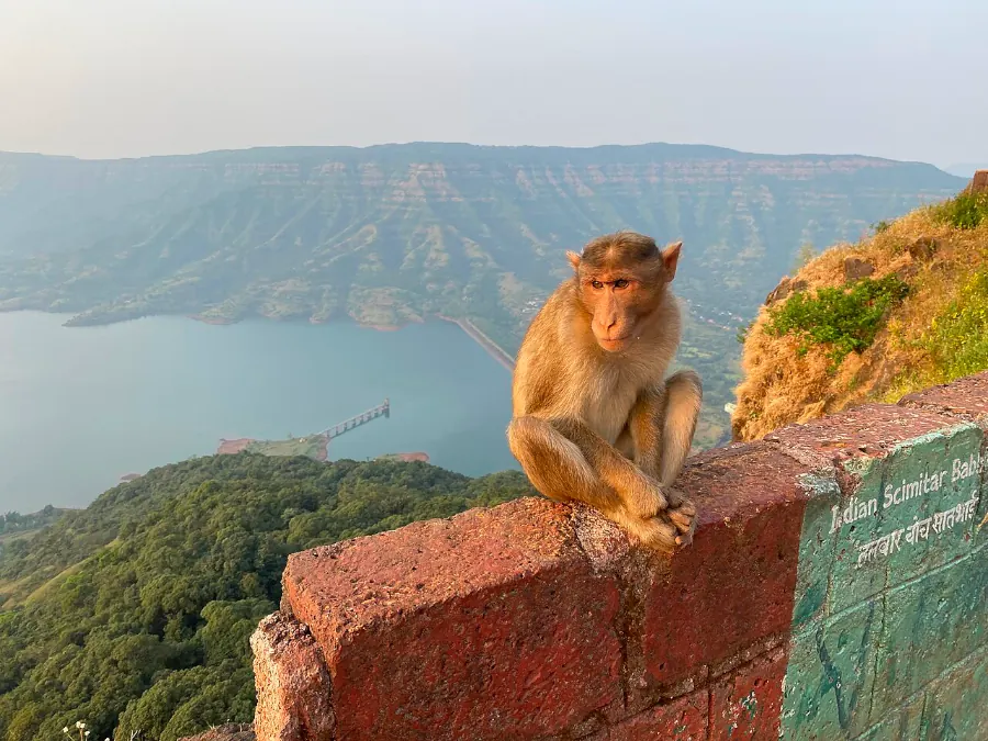 Western Ghats