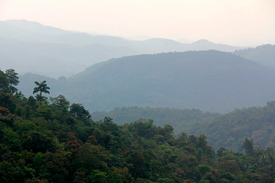 Sawantwadi Cultural Significance