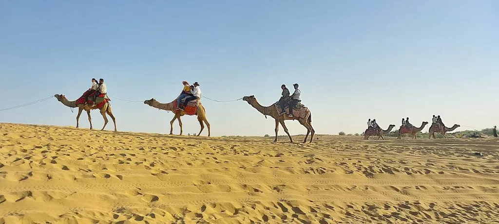Camel Rides in Jaisalmer, Thar Desert 15