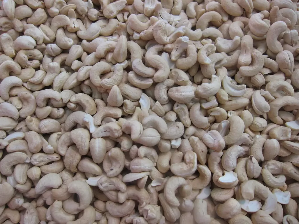 Cashew Nut