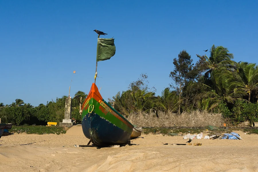 Vengurla Beach, Maharashtra, India, 16 Feb 2019-5