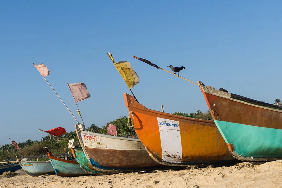 Vengurla Beach, Maharashtra,_ India, 16 Feb 2019-1