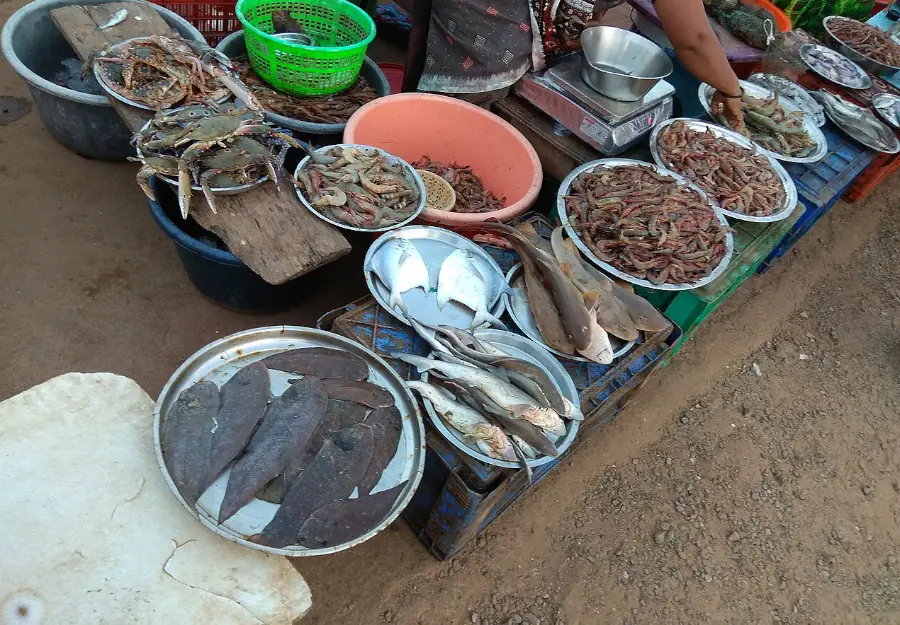 Vengurla Fish Market