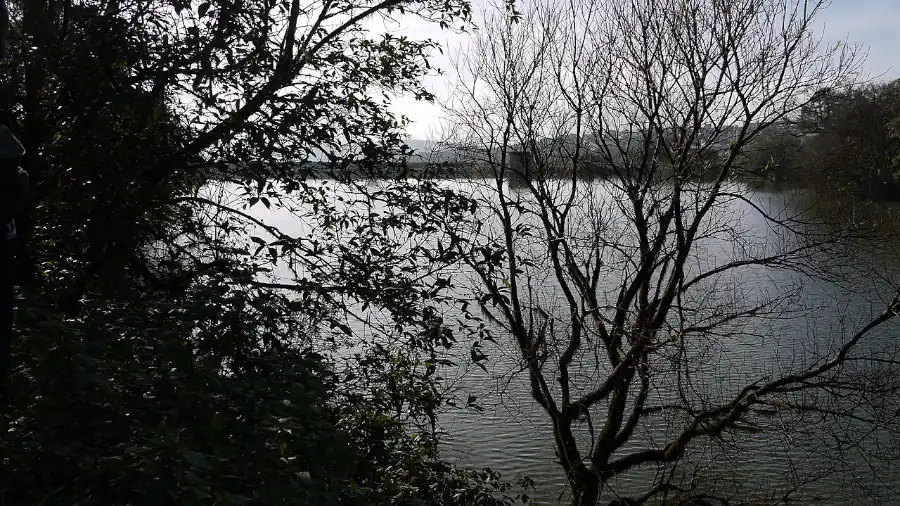 Shivsagar Lake near Tapola